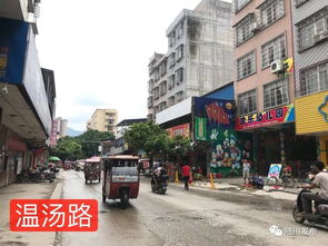 陸川縣市政道路工程建設取得階段性進展，城市交通網絡持續優化