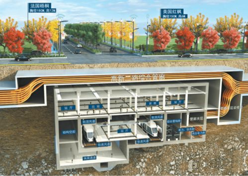 市政道路主干道順利竣工，城市發展再添新動力